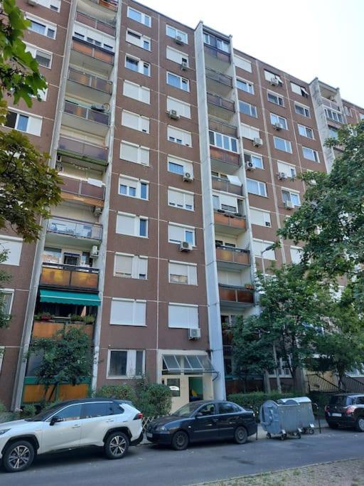 Erzsebet Apartman, Free Parking Budapeste Exterior foto