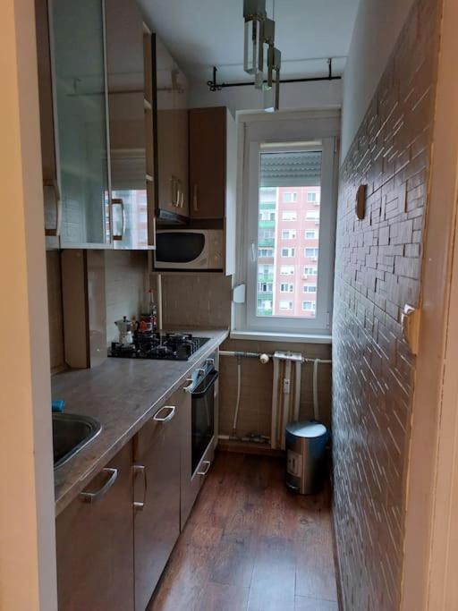Erzsebet Apartman, Free Parking Budapeste Exterior foto